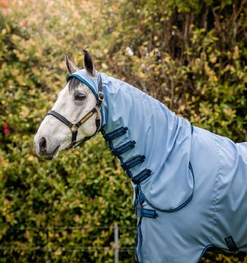 Nahaufnahme eines Ponys mit hellblauer Fliegendecke und Kapuze. Dunkelblaue Verschlüsse. Halfter sichtbar.
