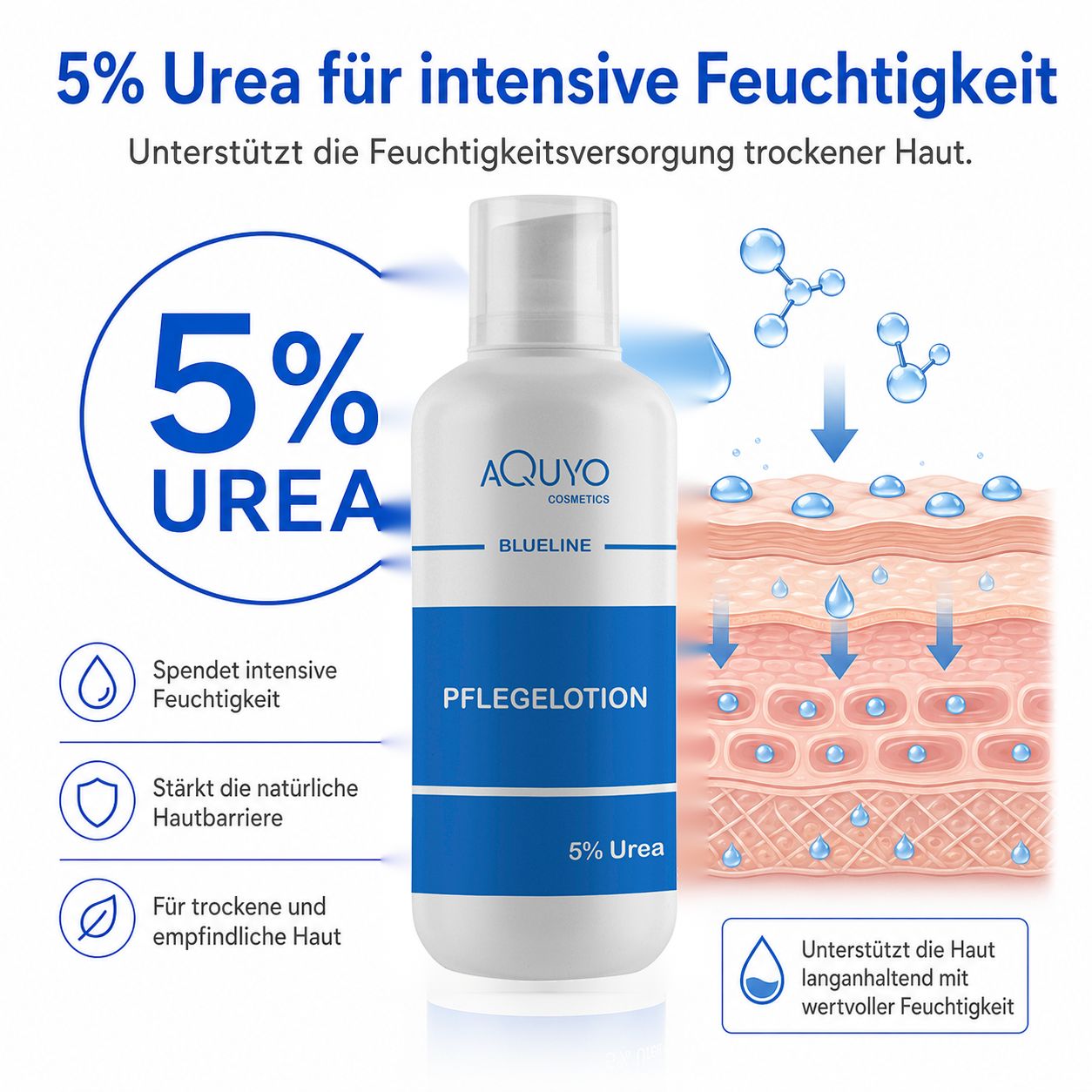 Weiße Flasche mit blauer Aufschrift. Text: 5% Urea, Pflegelotion. Illustrationen von Hautschichten und Wassertropfen.