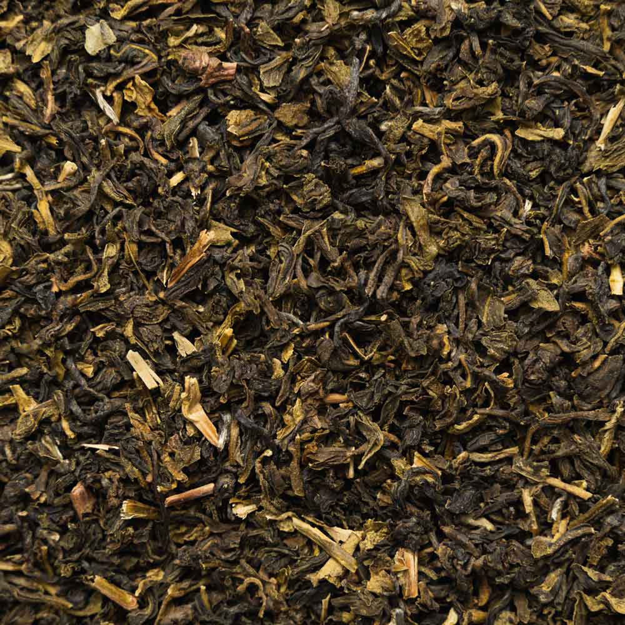 Biotiva Darjeeling FTGFOP1 Grüntee Bio
