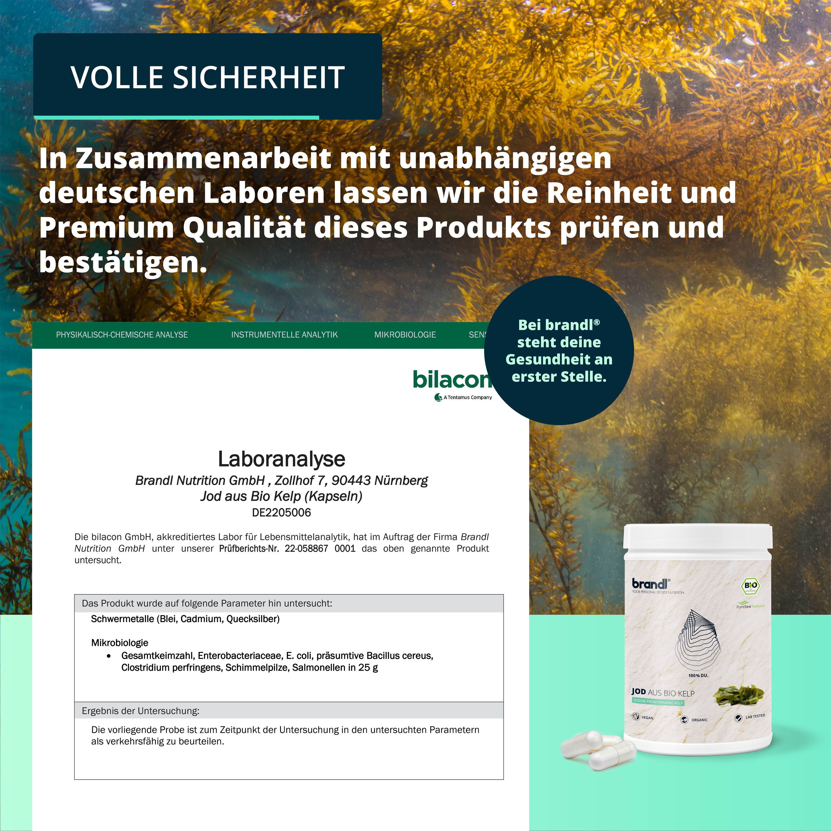 brandl® Jod aus Bio Kelp Algen von PureSea®