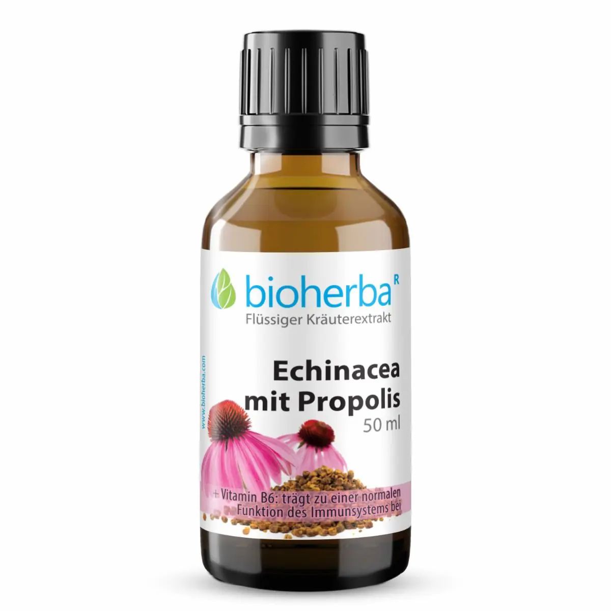 Braune Glasflasche mit schwarzem Deckel. Etikett mit Produktnamen, Echinacea-Blüten-Illustration und Markenlogo.