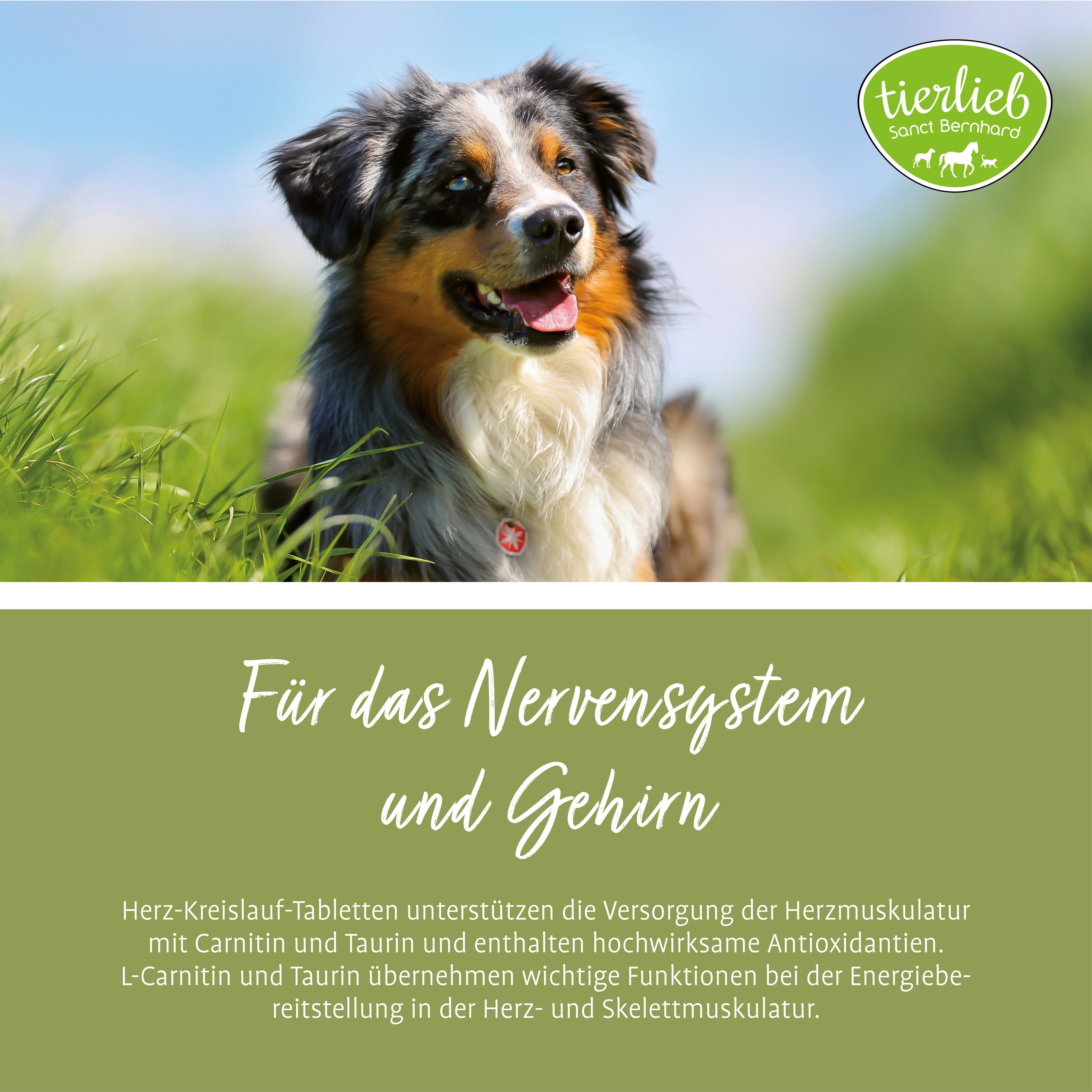 Sanct Bernhard tierlieb Herz-Kreislauf Tabletten für Hunde 180 St