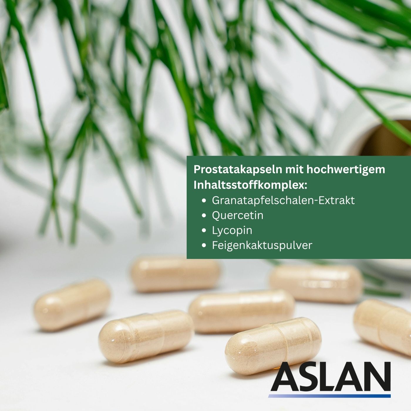 ASLAN Prostata-Kapseln mit Granatapfel, Quercetin, Lycopin, Feigenkaktuspulver.
