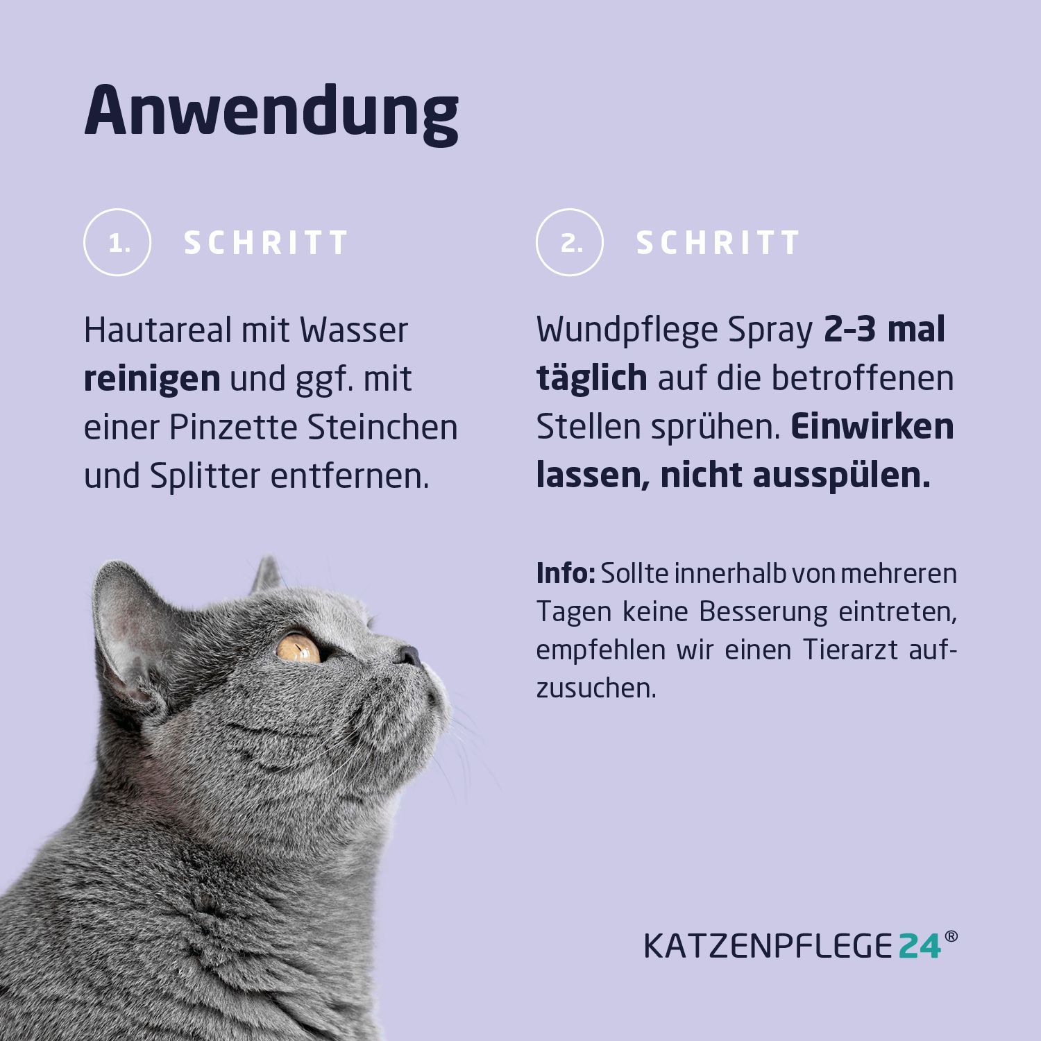 Anleitung zur Anwendung. Schritt 1: Haut reinigen. Schritt 2: Spray auftragen. Katze blickt nach oben.
