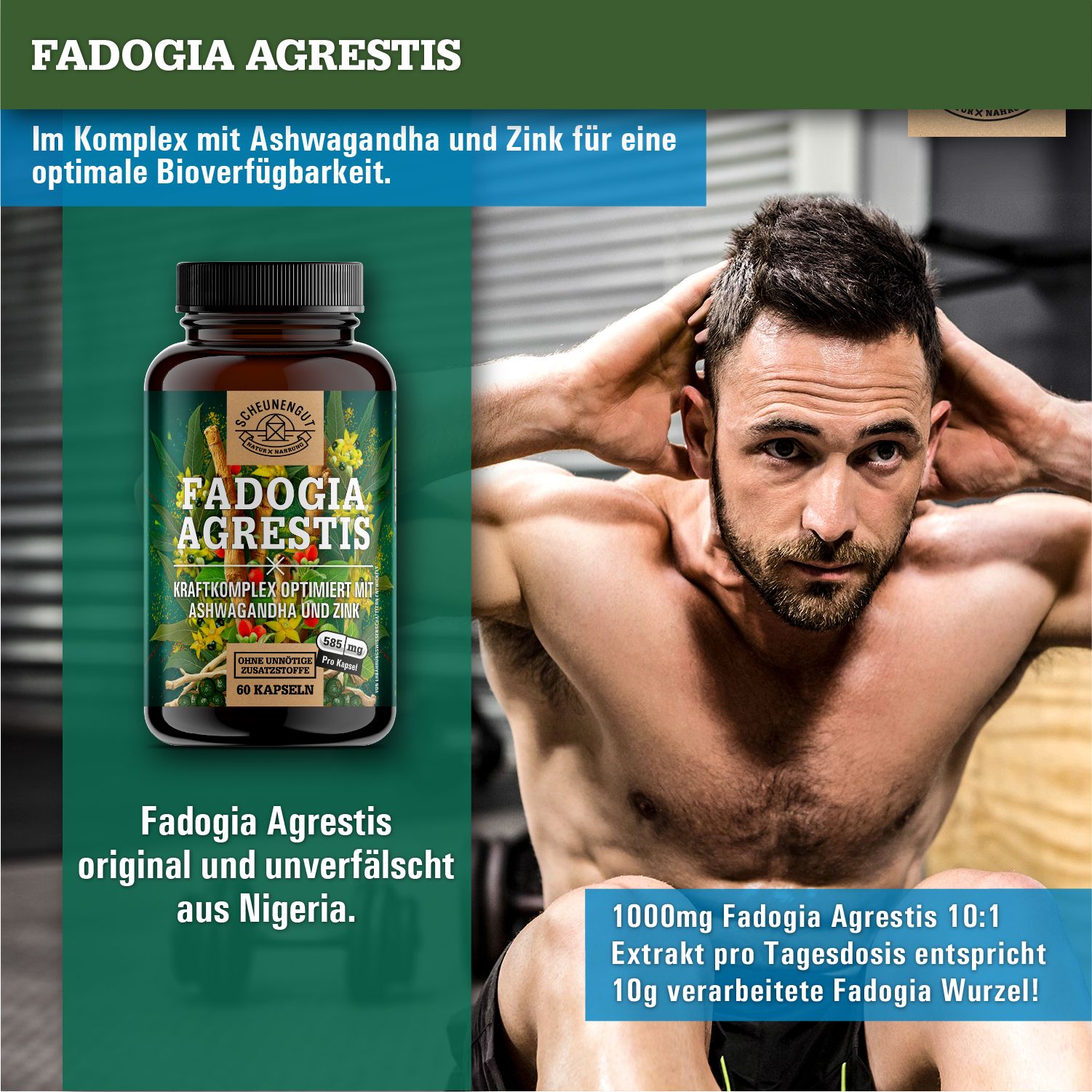 Scheunengut® Fadogia Agrestis | Hochdosierter 10:1 Extrakt optimiert mit Ashwagandha und Zink