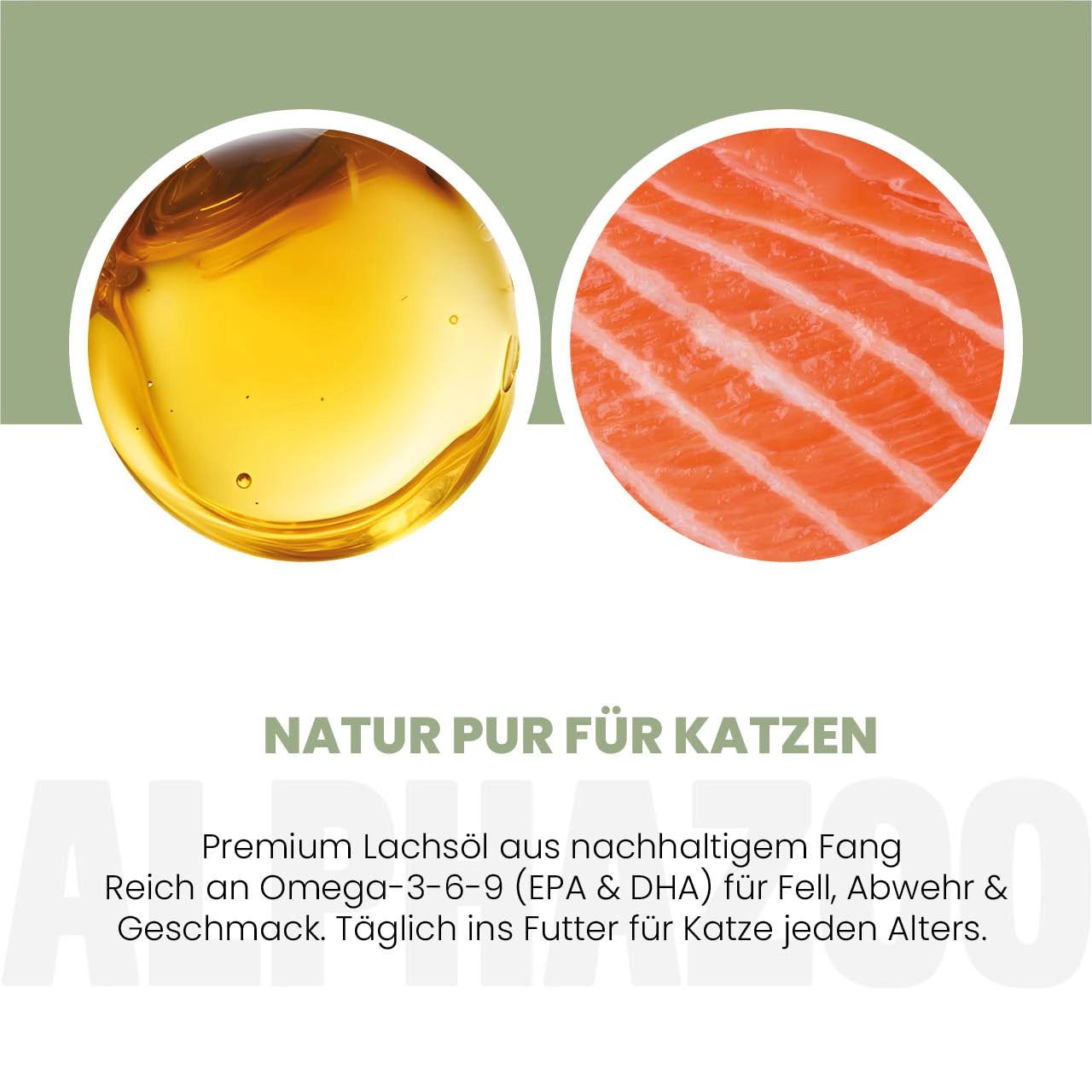Zwei Kreise: Lachsöl und Lachsfilet. Text: Natur pur für Katzen. Reich an Omega-3-6-9. Alphazoo.