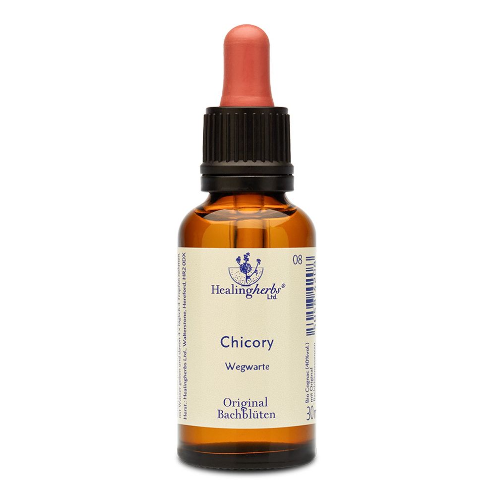 Braune Glasflasche mit Tropfer. Auf dem Etikett steht "Healing Herbs", "Chicory Wegwarte Original Bachblüten".