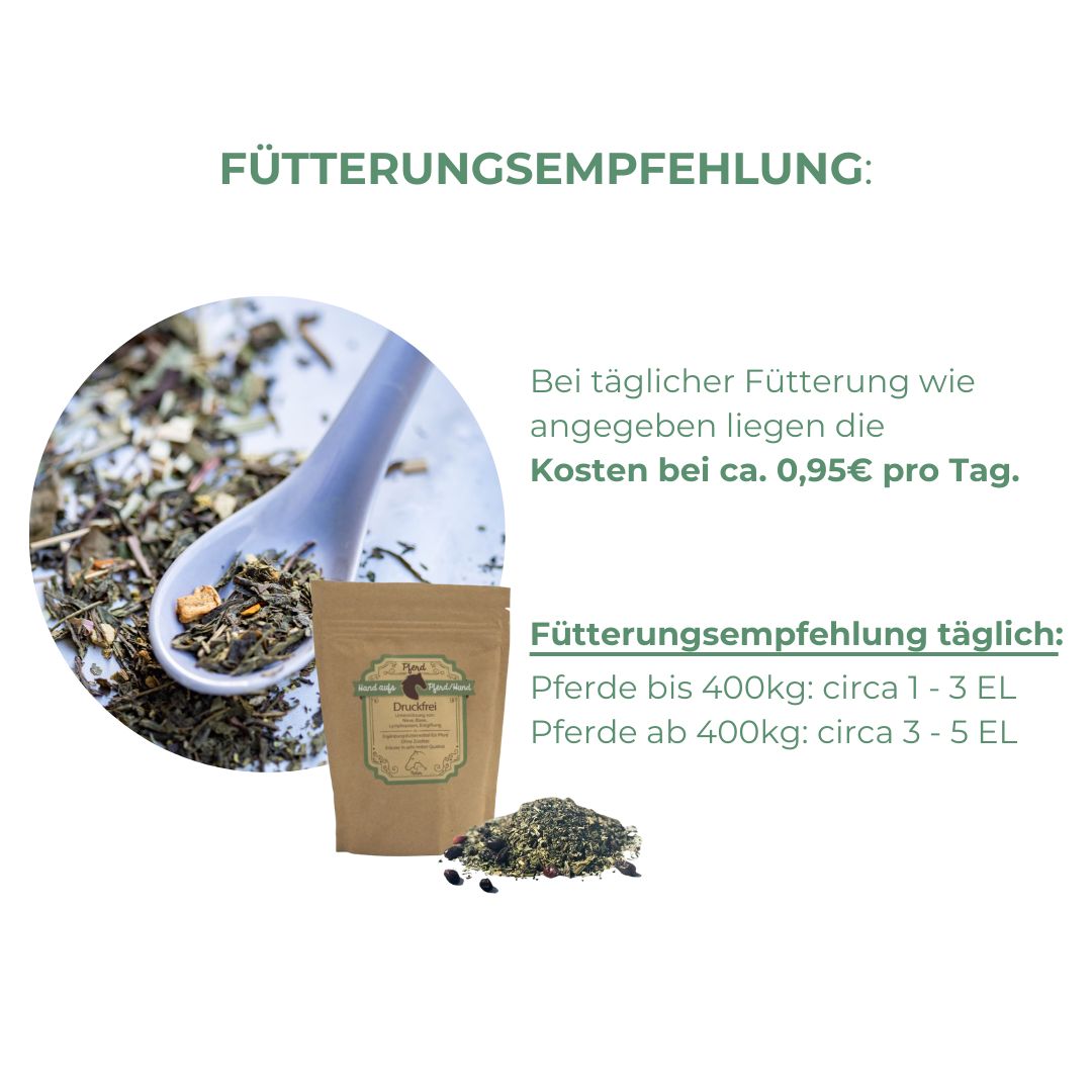 Beutel mit Kräutermischung, Löffel mit Kräutern. Text: Fütterungsempfehlung. Kosten pro Tag.