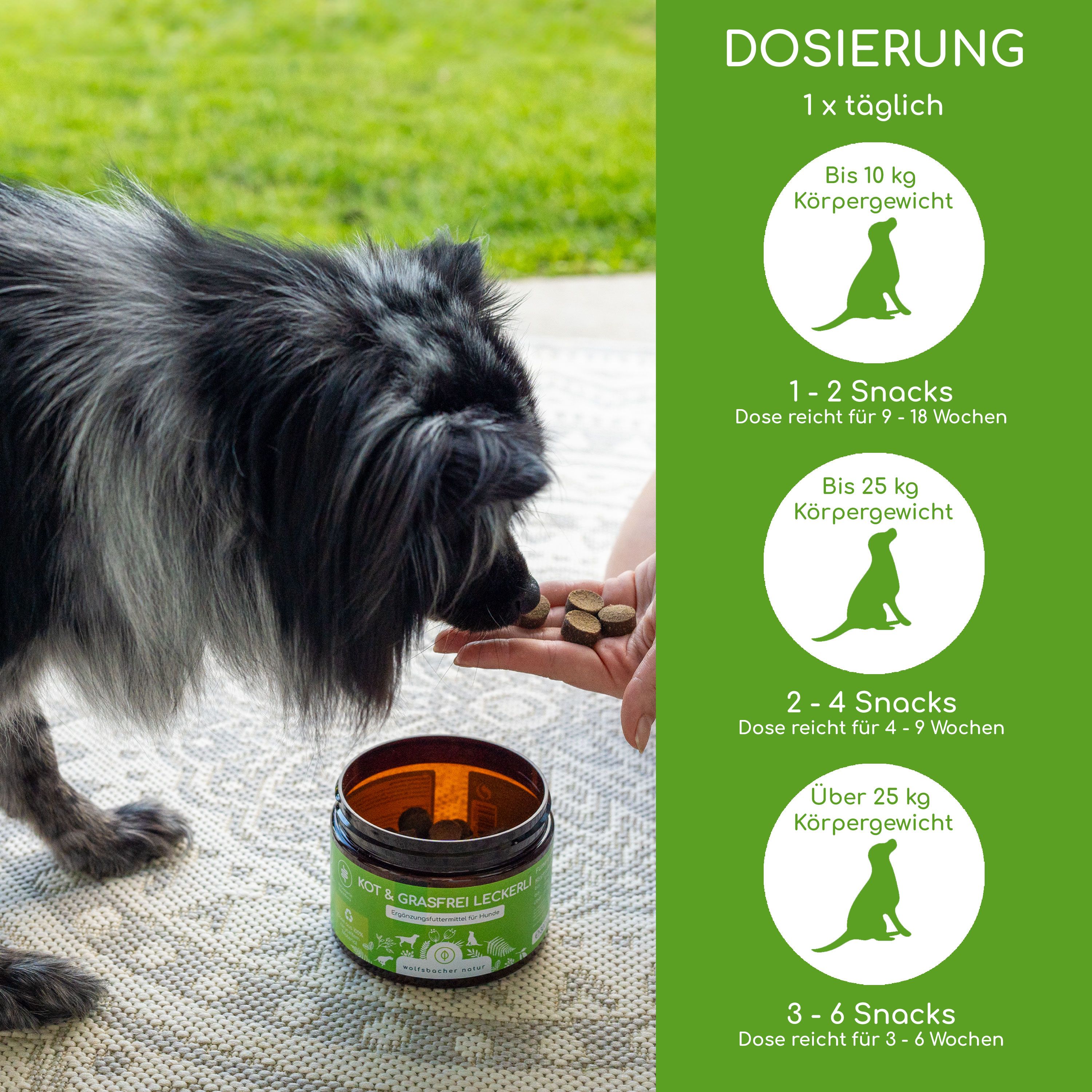 Eine Person gibt einem Hund Leckerlis aus einem Glas "KOT & GRASFREI LECKERLI". Dosierungsempfehlungen.