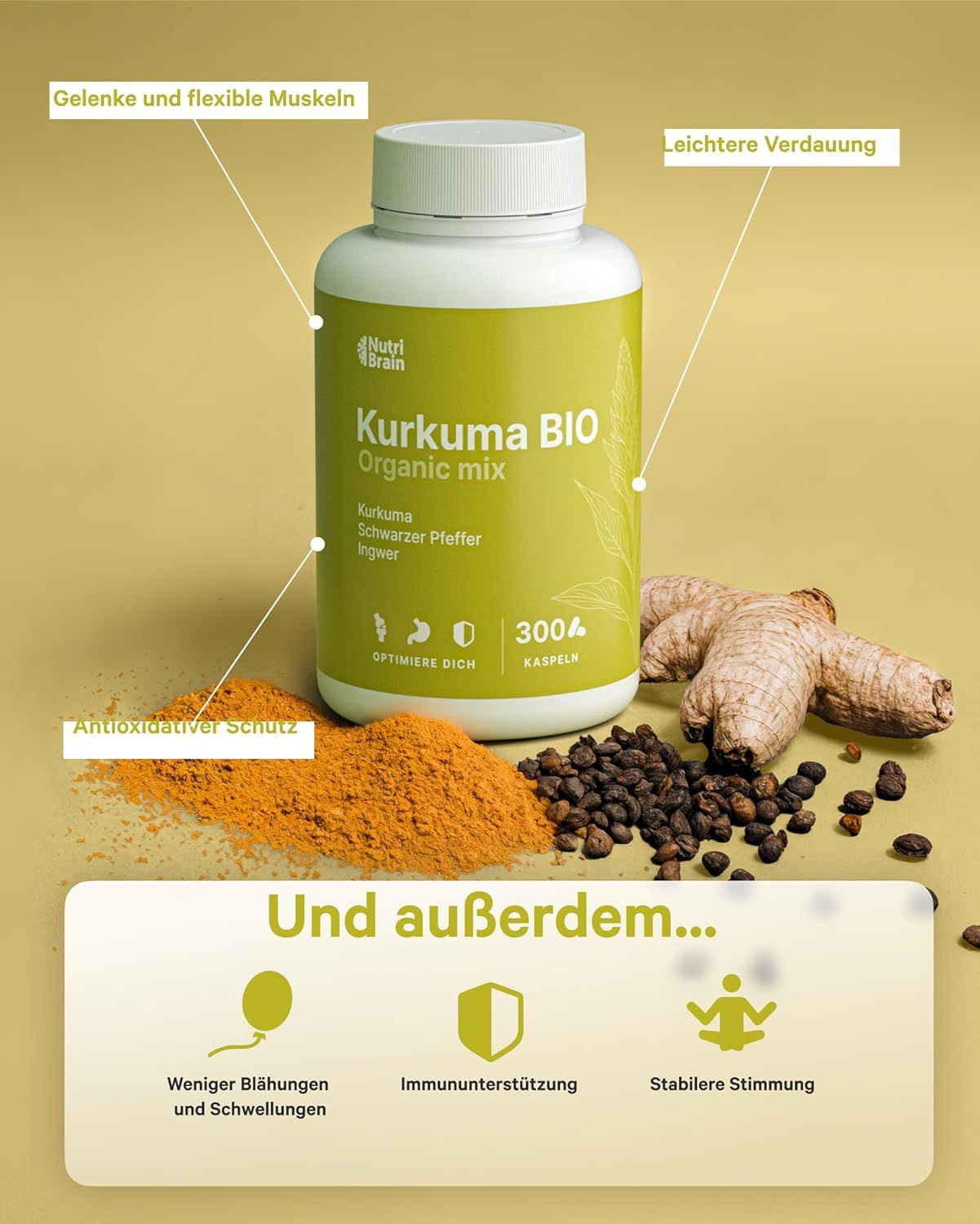 NUTRIBRAIN Kurkuma Kapsel
