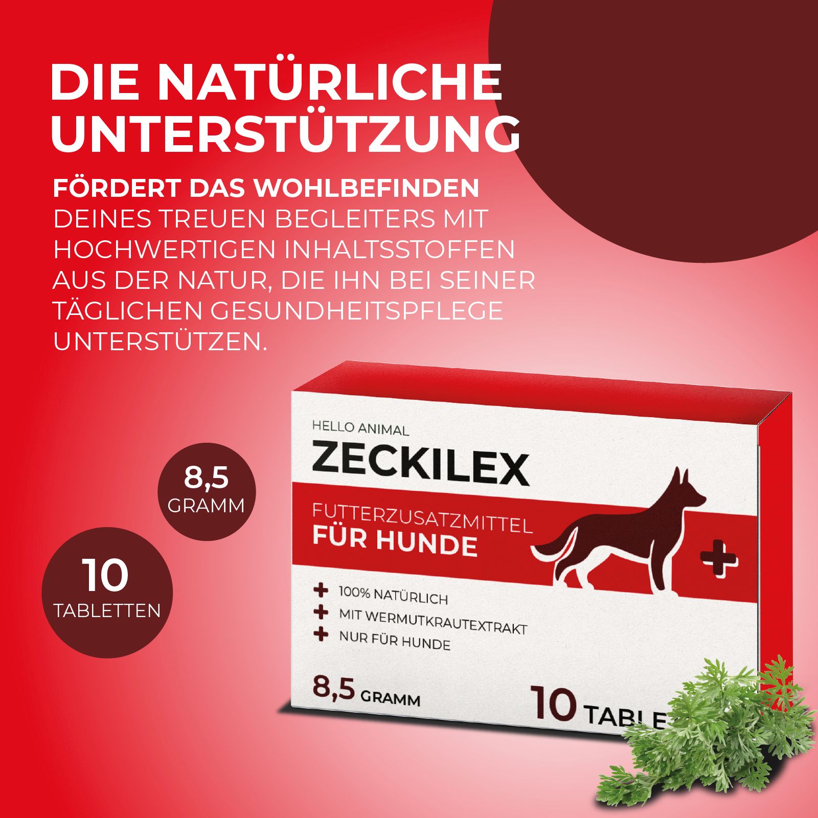 Werbebild mit "ZECKILEX"-Verpackung und Kräutern. Text: "DIE NATÜRLICHE UNTERSTÜTZUNG". 10 Tabletten, 8,5 Gramm.