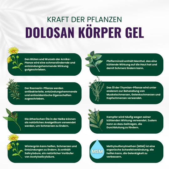 Infografik mit grünen Feldern. Aufschrift: Kraft der Pflanzen. Dolosan Körper Gel. Text und Kräuter.