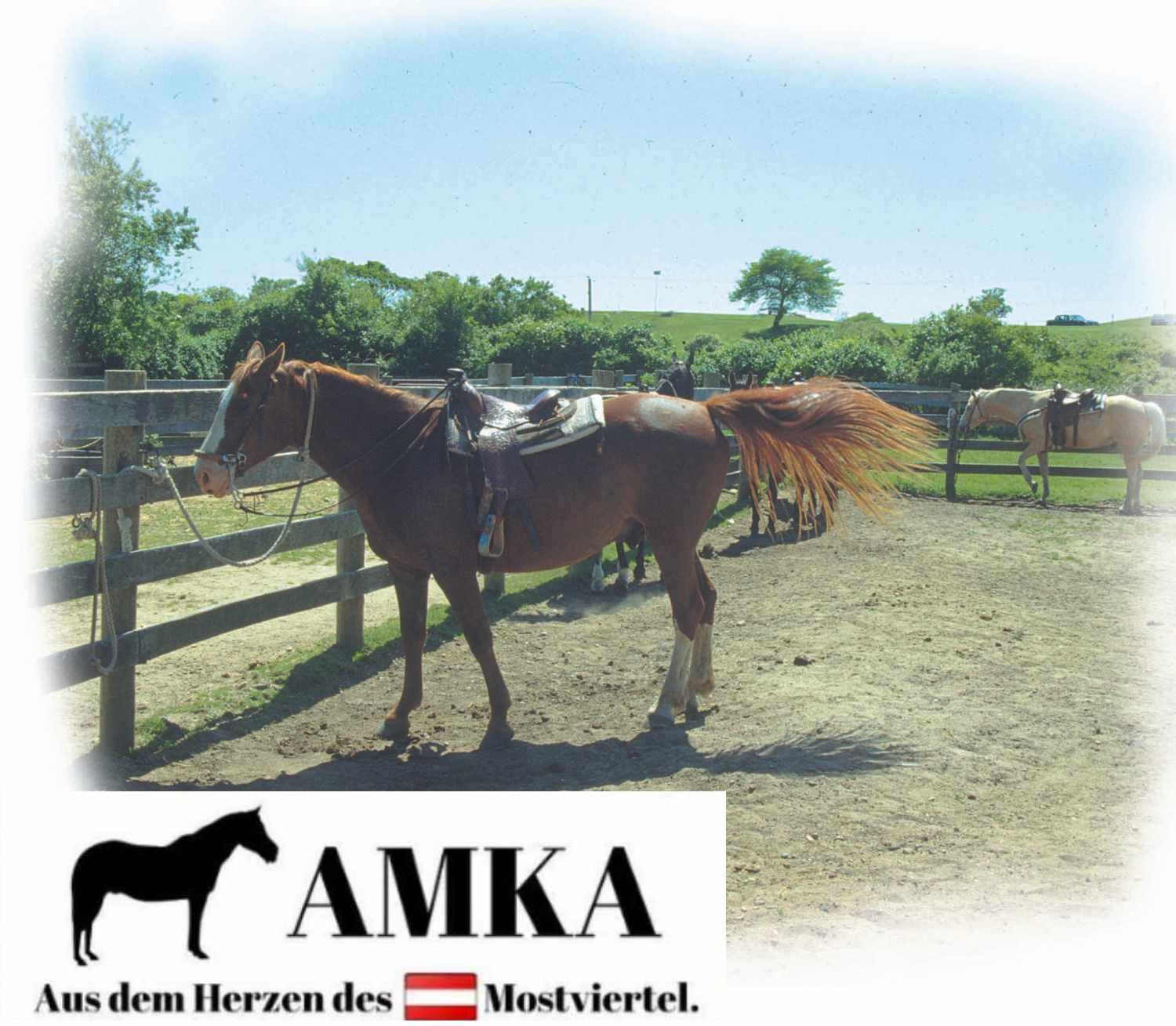 AMKA Western Pad Waffle