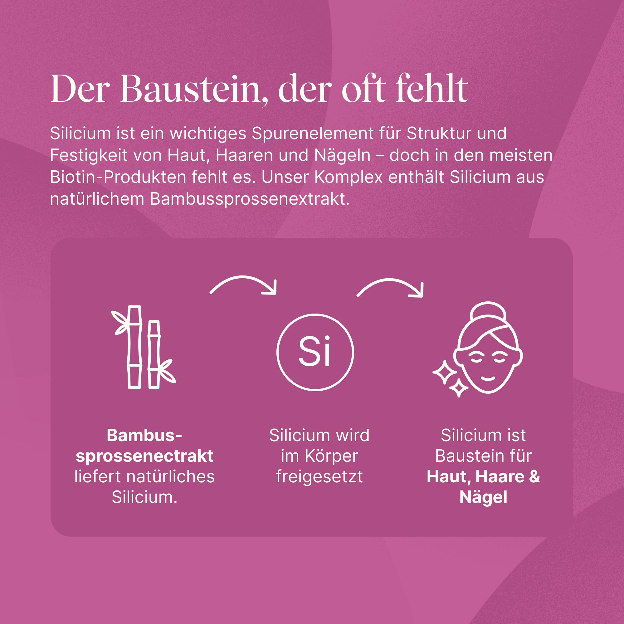VETAIN Biotin Zink Selen Komplex - Mit Silizium & Vitamin B5 - Für Haare, Haut & Nägel - hochdosiert
