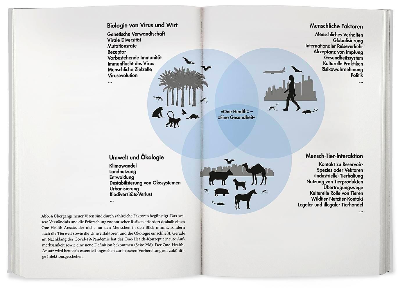 Buchseite mit Diagramm. Drei sich überschneidende Kreise mit Text und Illustrationen. Text: One Health. Umwelt & Ökologie, Mensch-Tier-Interaktion, Menschliche Faktoren.
