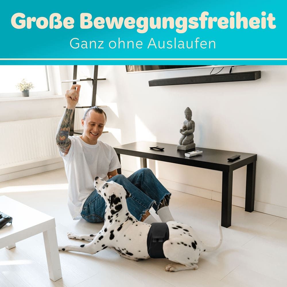 Hund mit Windel, Mann sitzt daneben. Text: Große Bewegungsfreiheit, ganz ohne Auslaufen.