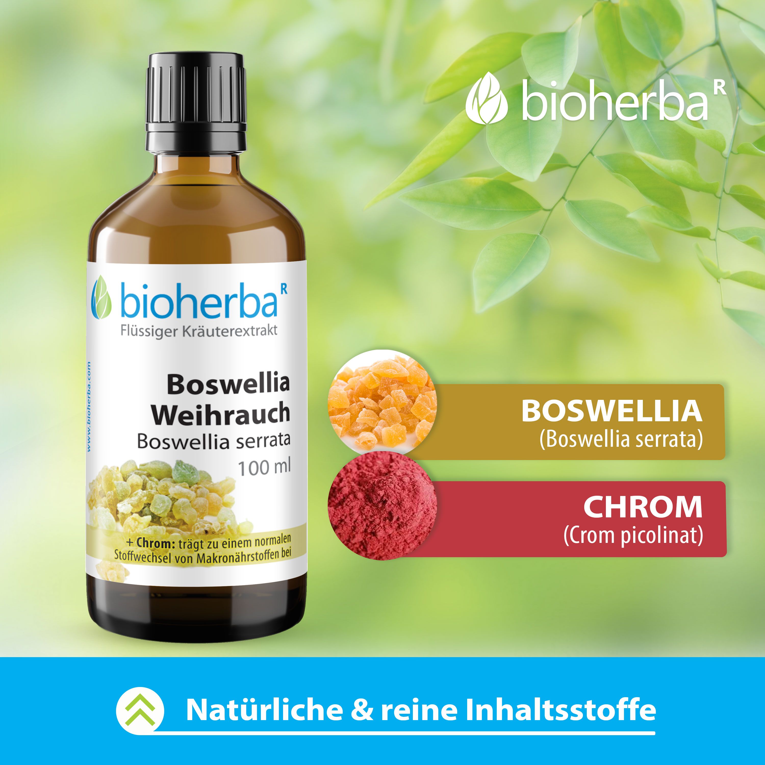 Braune Glasflasche mit Etikett. Bioherba Boswellia Weihrauch Tropfen. 100 ml. Abbildungen von Boswellia und Chrom.