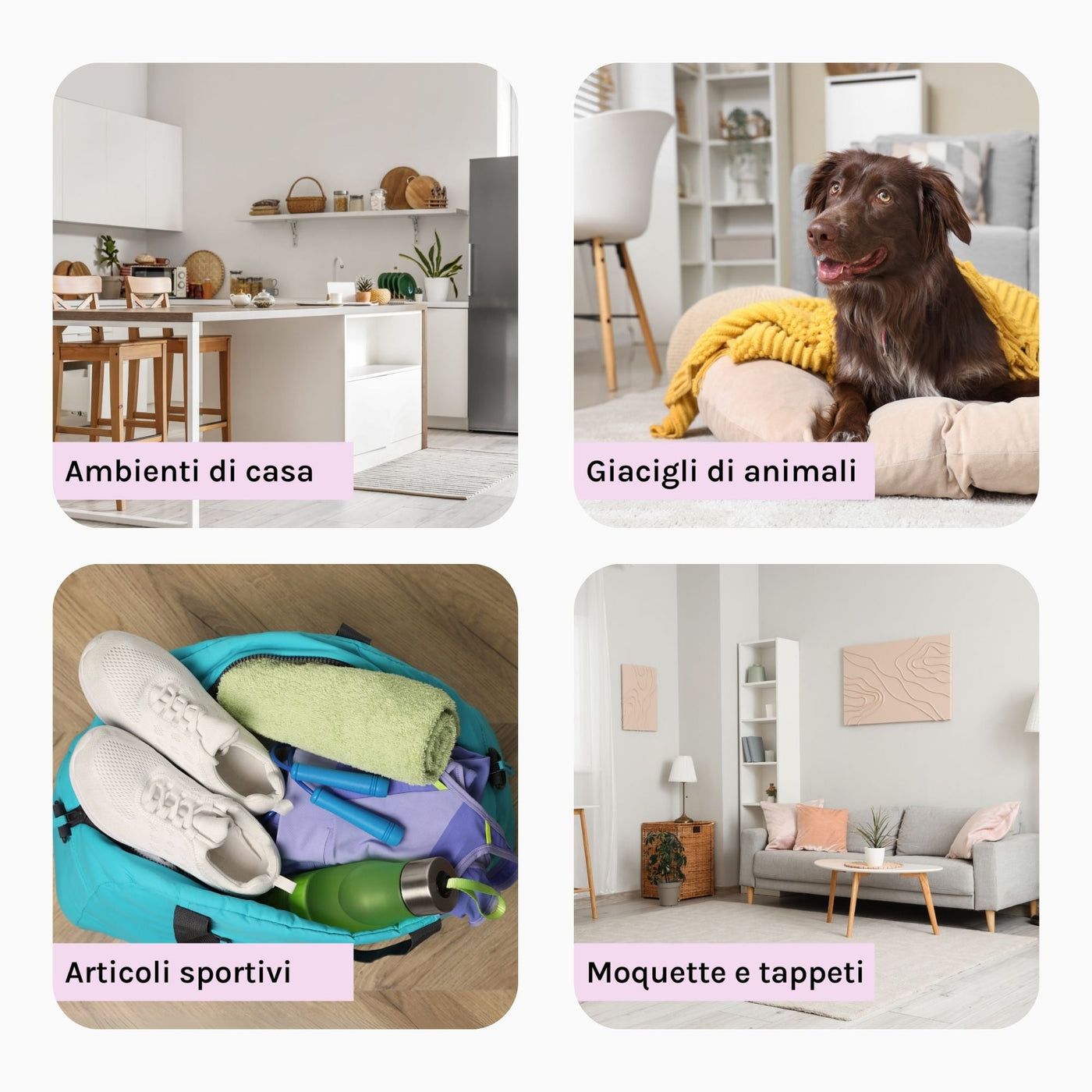 Anwendungsbereiche für R5 Odour Control: Haushalt, Tierbereiche, Sporttasche, Teppiche.