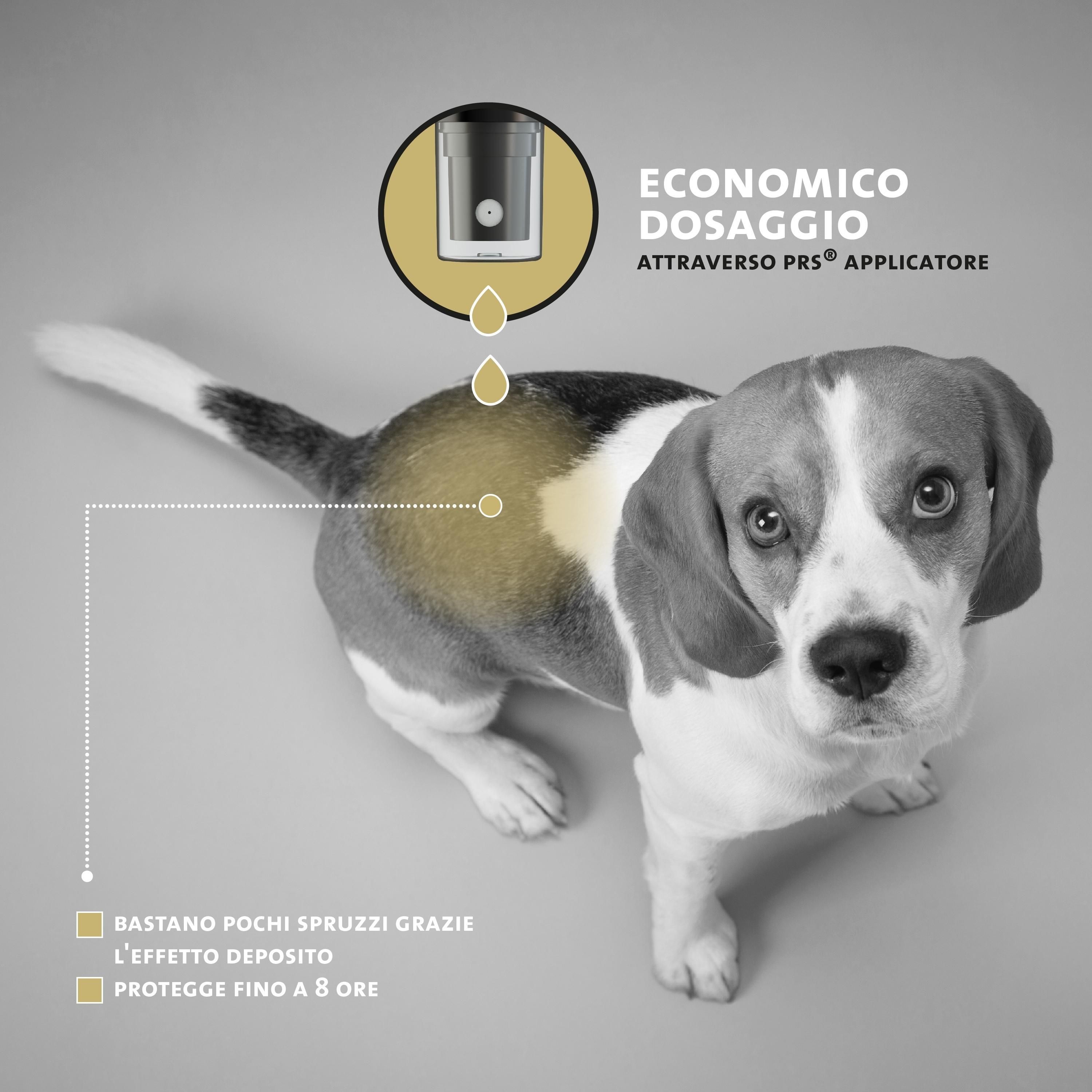 Peticare Anti-Insekten Spray für Hunde. Schwarze Flasche mit Sprühkopf. Dosierung durch PRS-Sprüh-Applikator.