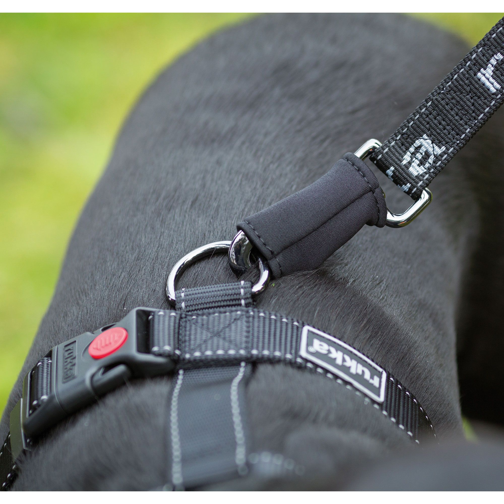 Schwarzes Hundegeschirr mit silbernen Metallringen und rotem Verschluss. Der Schriftzug "rukka" ist auf dem Gurtband zu sehen.