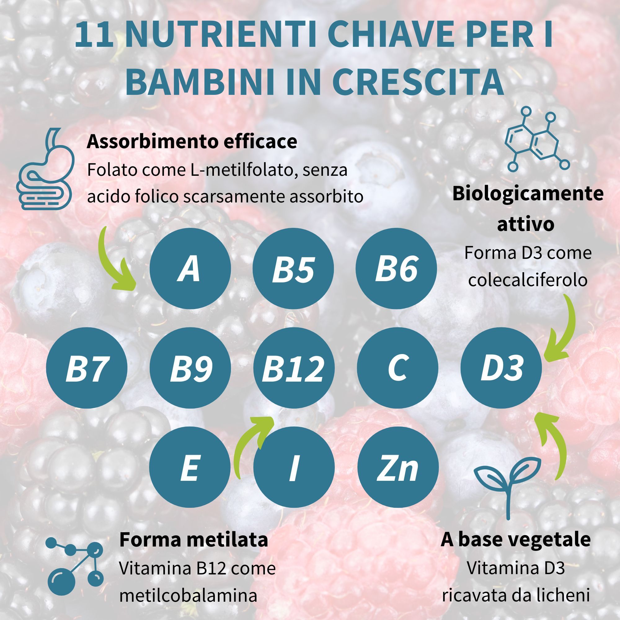 Grafik mit 11 Nährstoffen für Kinder. Vitamine A, B5, B6, B7, B9, B12, C, D3, E, I, Zn. L-Methylfolat, Methylcobalamin, D3 aus Flechten.