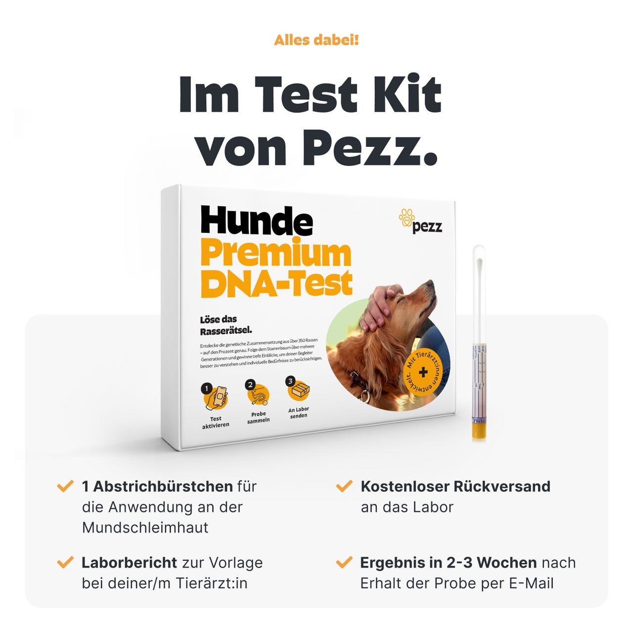 Box mit "Hunde Premium DNA-Test". Inklusive Abstrichbürstchen, Rückversand, Ergebnis in 2-3 Wochen. Logo "pezz".