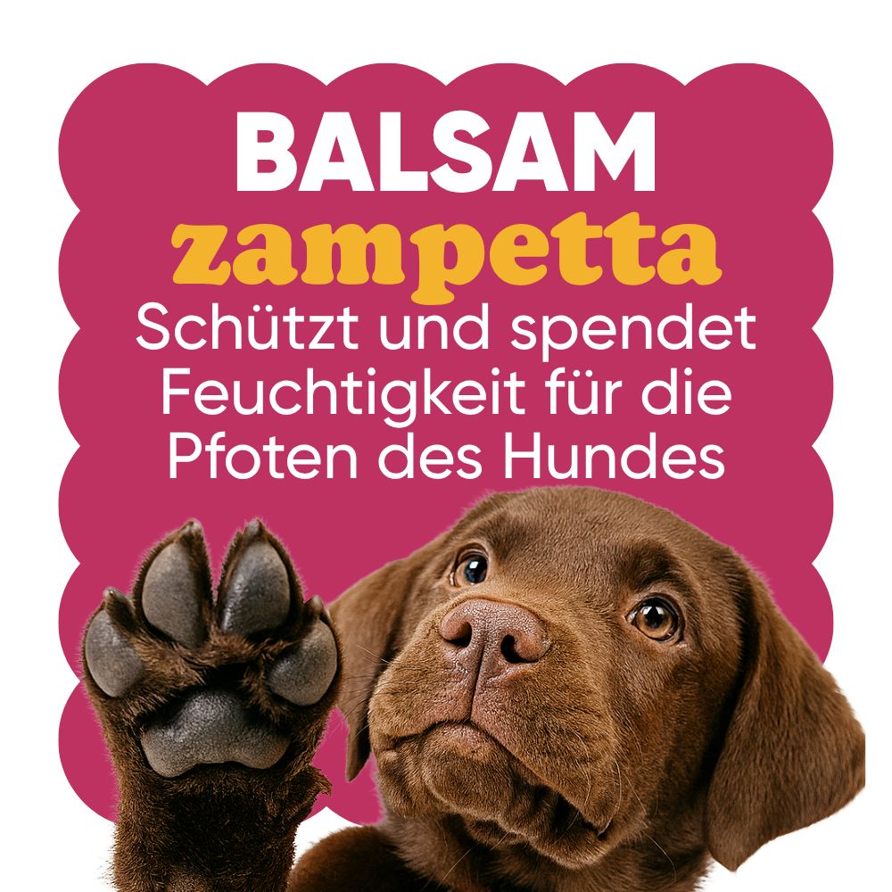 Ein brauner Labrador-Welpe hebt eine Pfote hoch, mit Text über Pfotenschutz und Feuchtigkeitspflege.