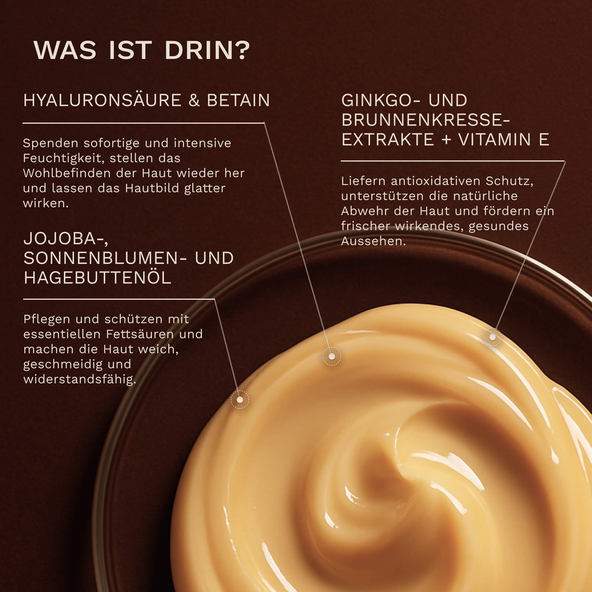 Nahaufnahme einer Creme in einer Schale. Text: Hyaluronsäure & Betain, Ginkgo- und Brunnenkresse-Extrakte + Vitamin E, Jojoba-, Sonnenblumen- und Hagebuttenöl.