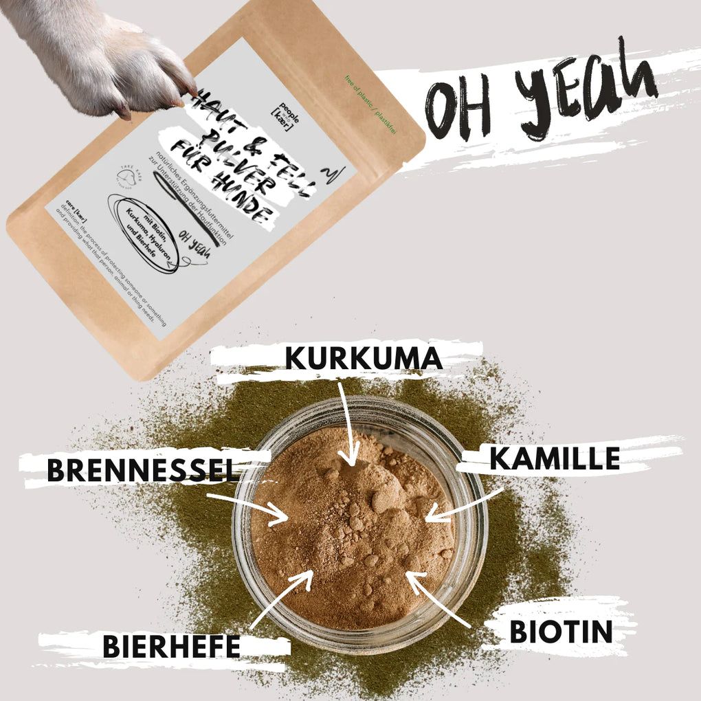 Produktverpackung mit Text 'Haut & Fell Pulver für Hunde'. Inhaltsstoffe: Kurkuma, Brennnessel, Bierhefe, Kamille, Biotin. Produkt liegt neben Zutaten in Glas.