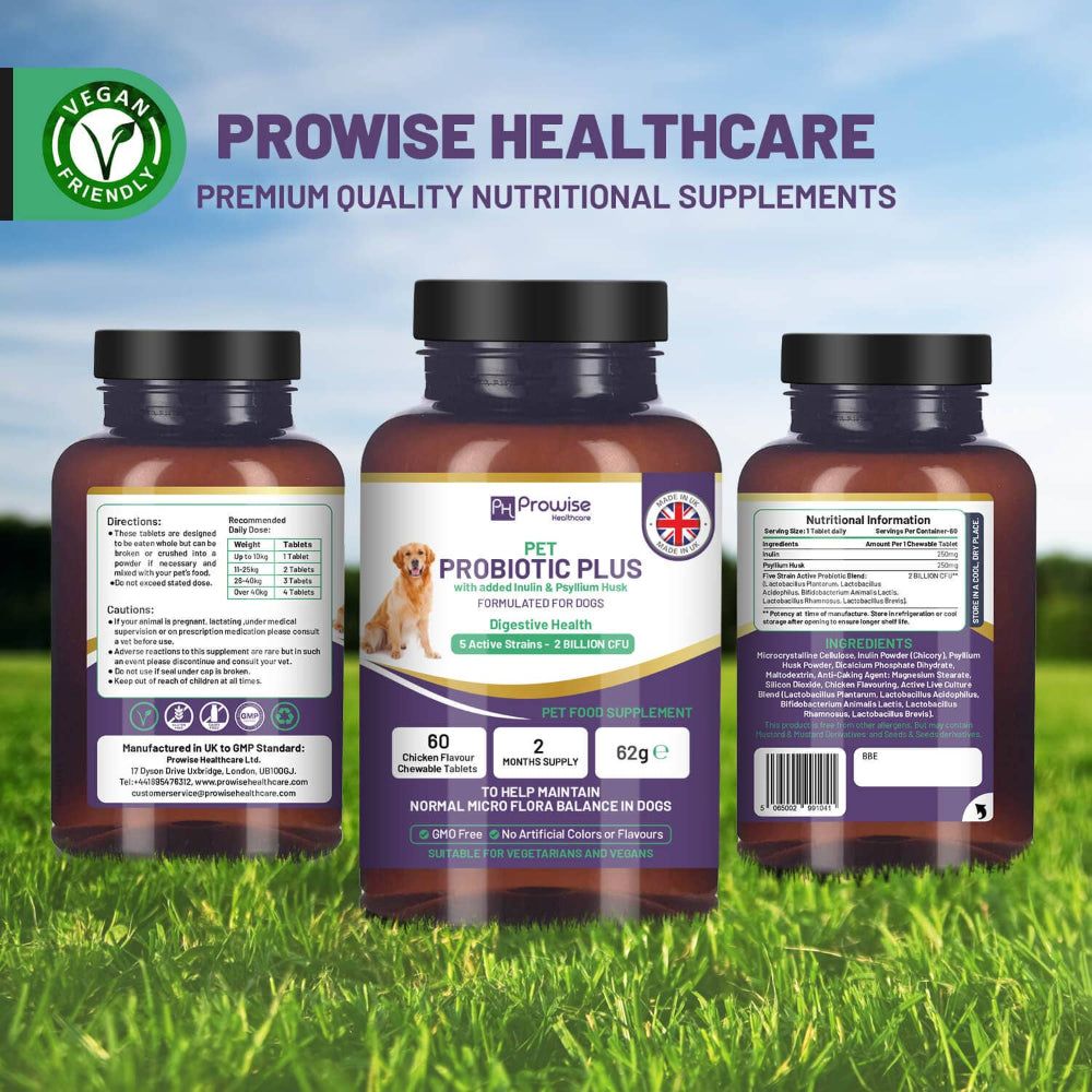 Prowise Healthcare Pet Probiotic Plus mit Inulin und Flohsamenschalen 2 Milliarden CFU