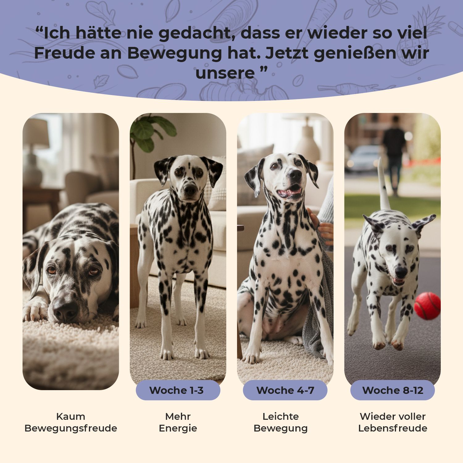 Ein Dalmatiner liegt entspannt auf einem Teppich.