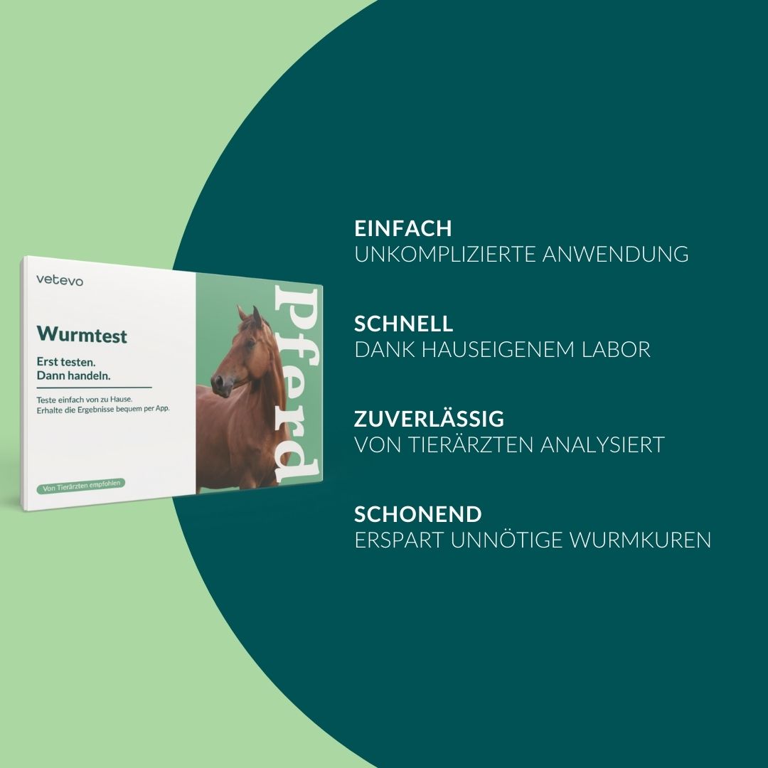 Verpackung des Wurmtest Plus Pferd mit Icons für einfache, schnelle, zuverlässige Anwendung.
