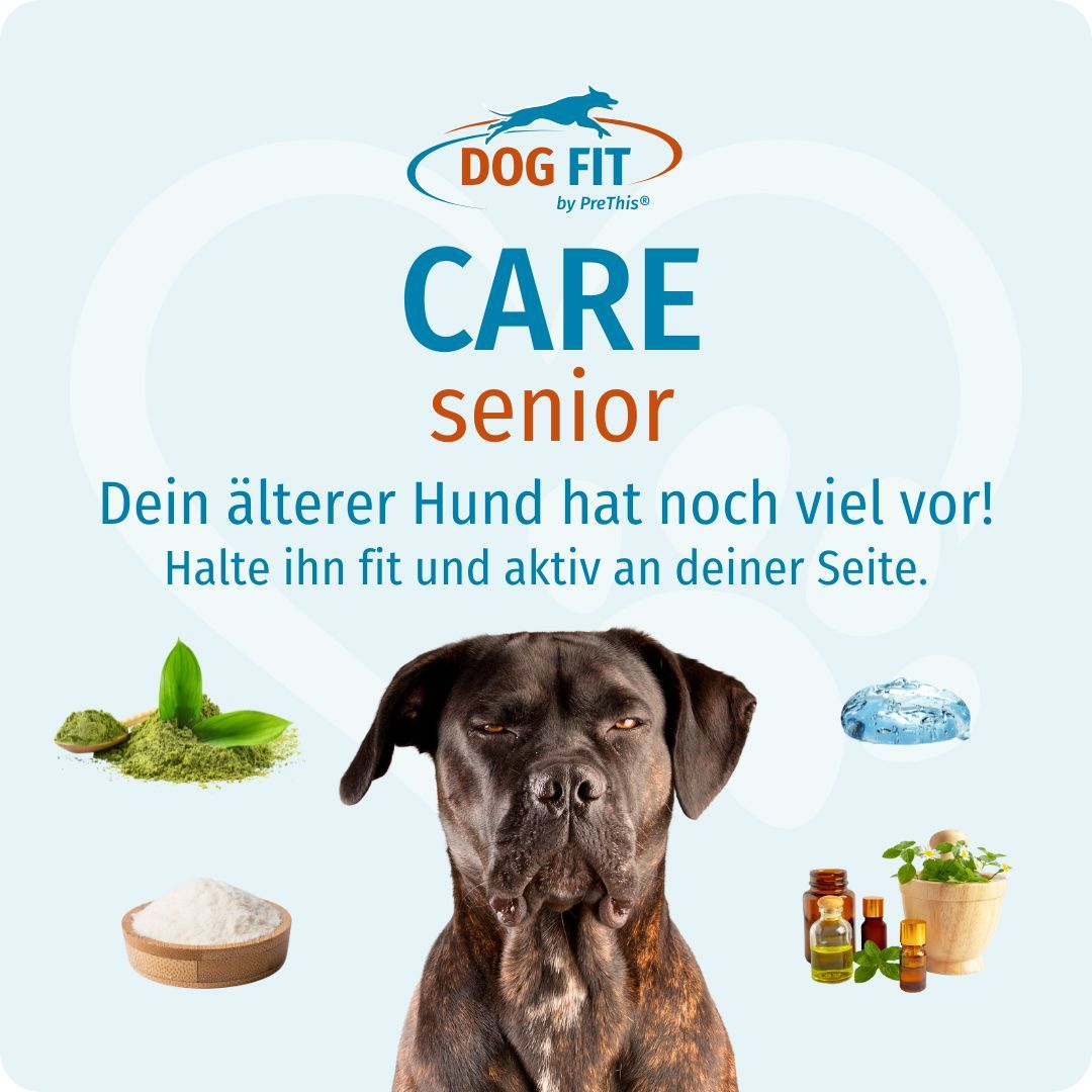 Hund mit Zutaten. DOG FIT CARE senior. Text: Dein älterer Hund hat noch viel vor! Halte ihn fit und aktiv an deiner Seite.