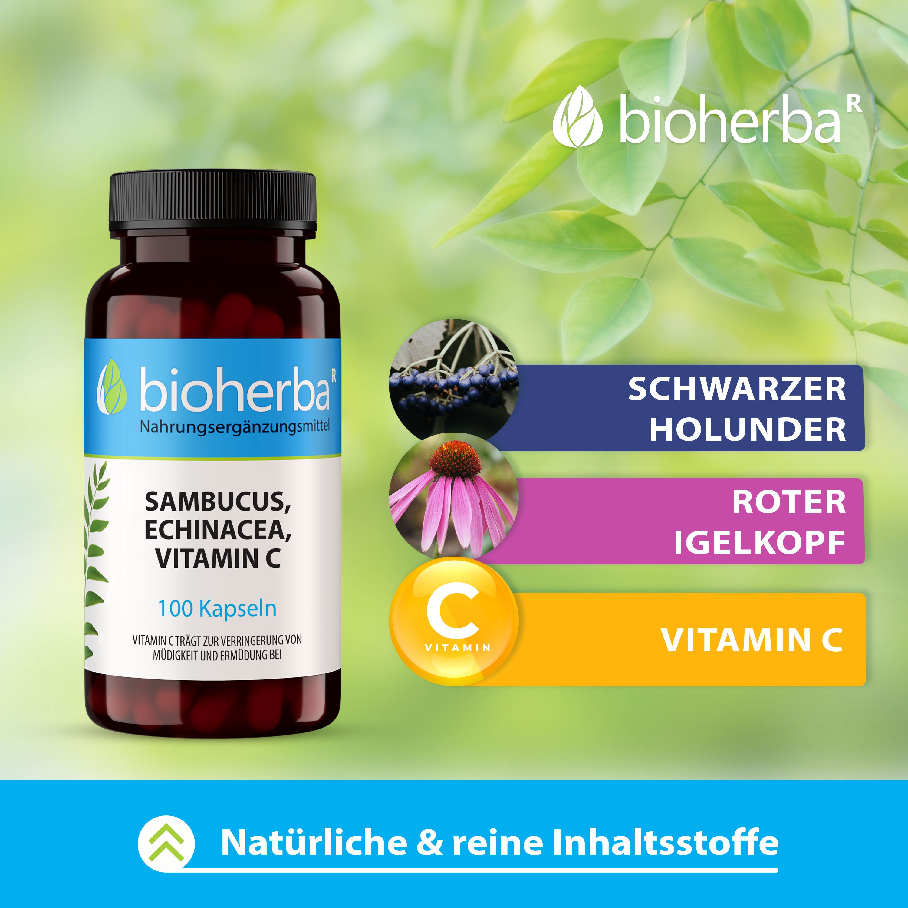 Bioherba Sambucus, Echinacea, Vitamin C Kapseln