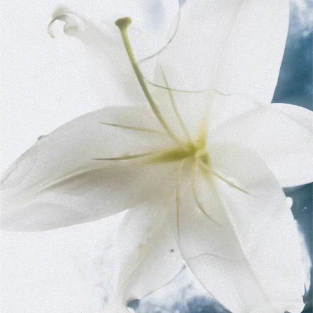 Zero Skin Sensitive Body Duo, beruhigend hydratisierend für empfindliche und trockene Haut