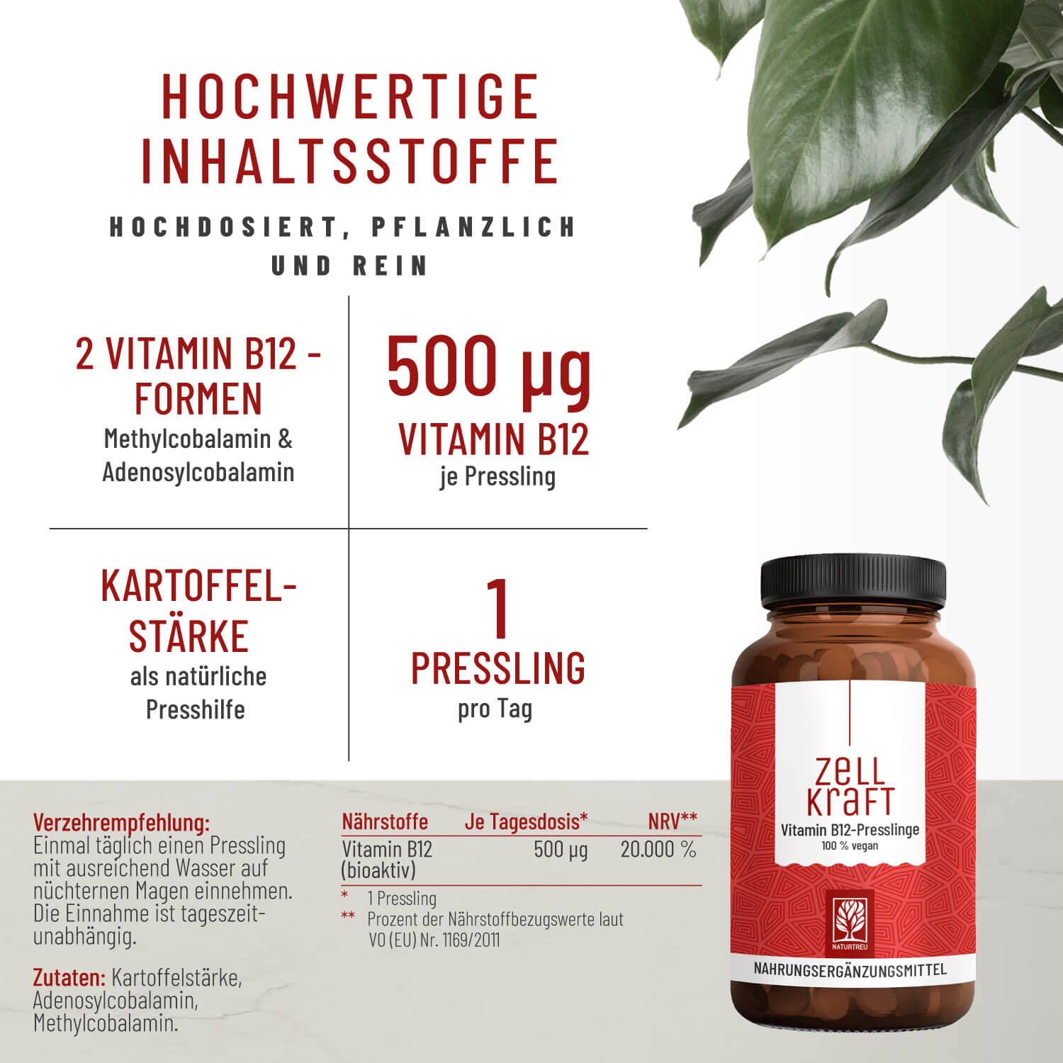 Infografik mit Informationen zu Vitamin B12-Presslingen. Enthält Angaben zu Inhaltsstoffen, Dosierung und Nährwerten. Flasche im Hintergrund.