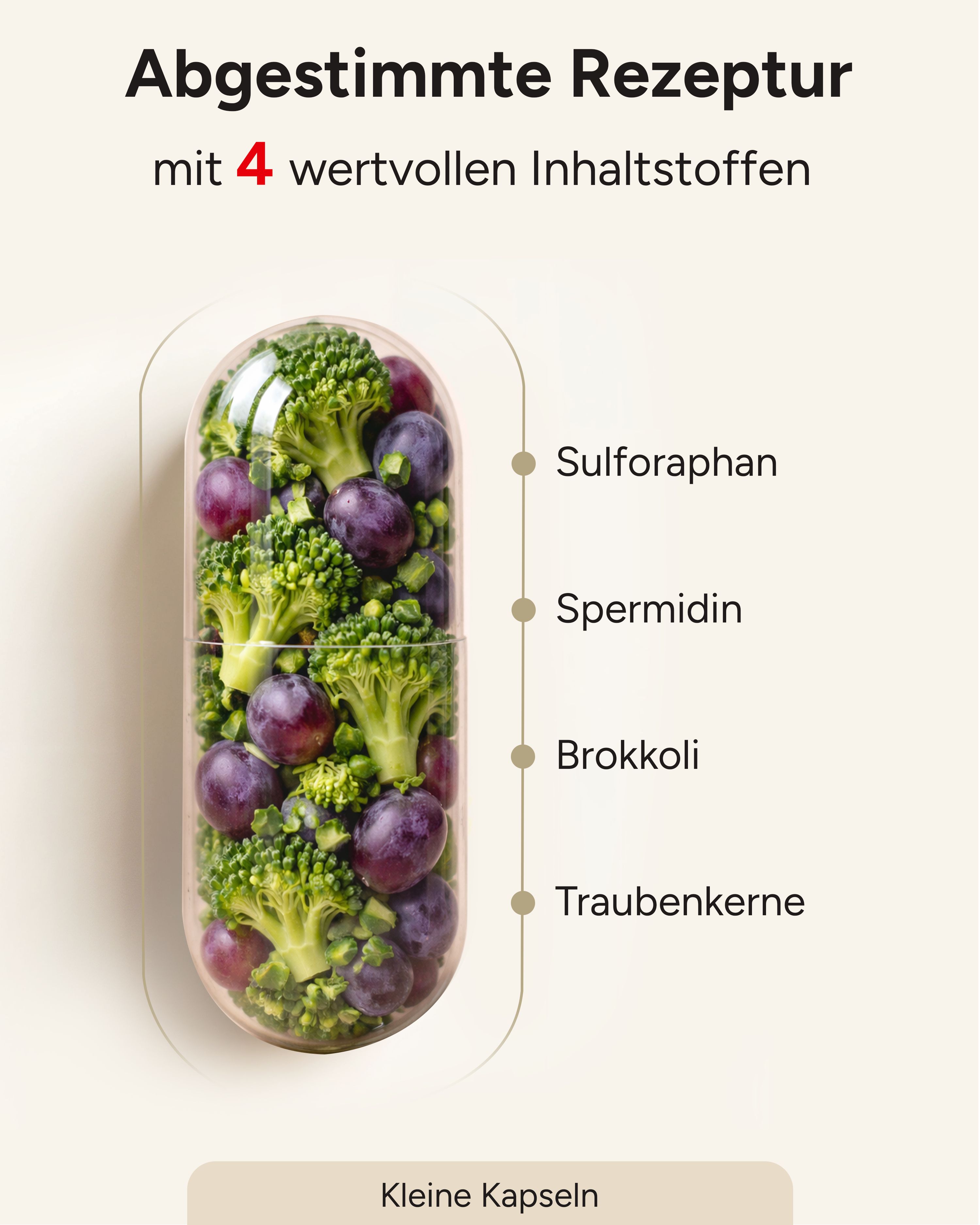 plantomol® Spermidin Sulforaphan - 6mg Spermidin Kapseln mit 70mg Sulforaphan aus Brokkolisprossen