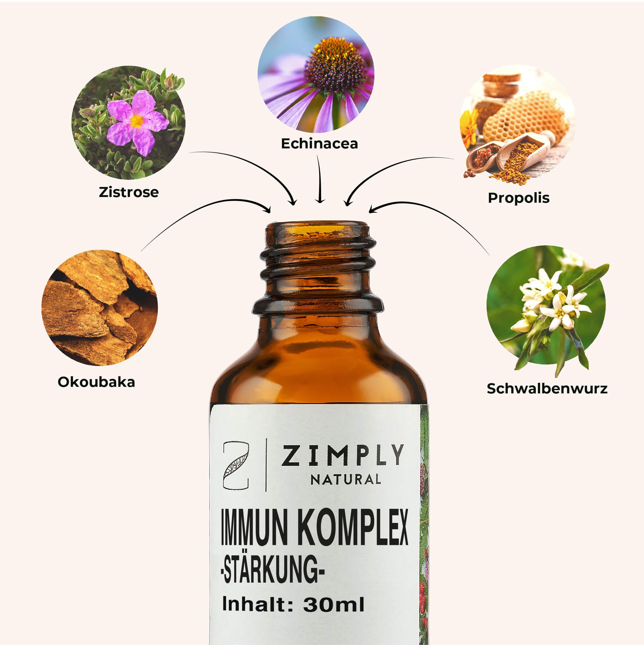 ZIMPLY NATURAL Stärkung Immunsystem Komplex Spray