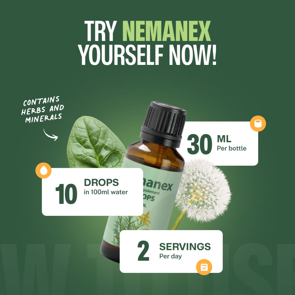 Nemanex Tropfen: Braune Flasche umgeben von Kräutern, mit Infografiken zu Dosierung und Inhaltsstoffen.