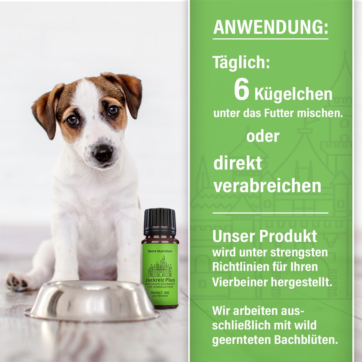 Saint Nutrition® | Juckreiz Plus Kügelchen für Hund und Katze