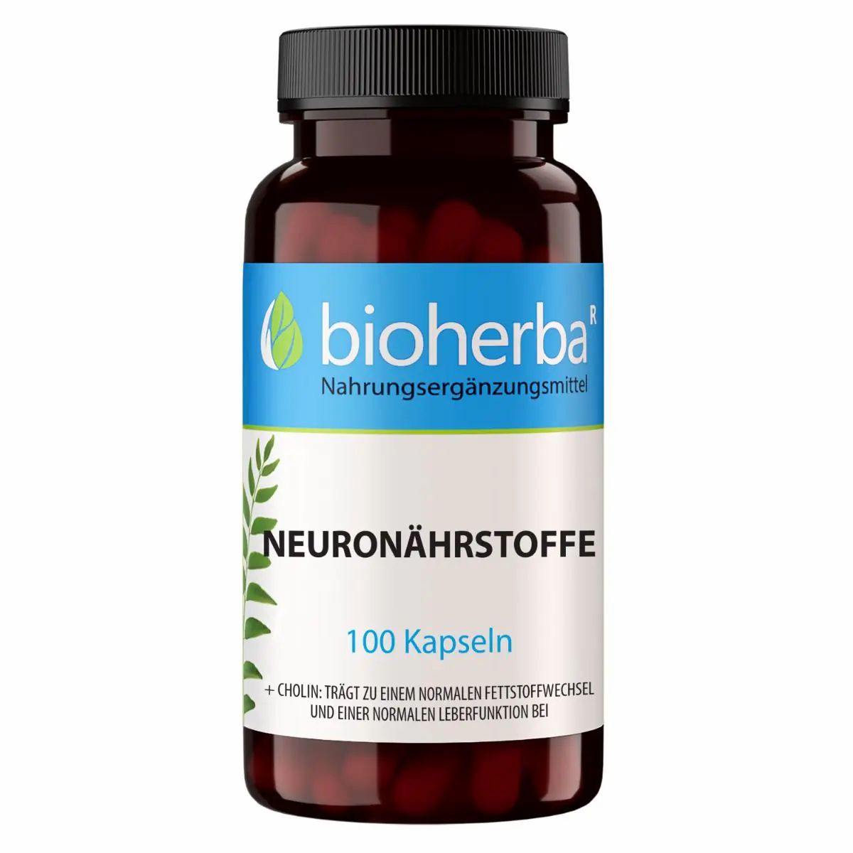 Braune Flasche mit schwarzen Deckel. Etikett mit "bioherba" Logo, "NEURONÄHRSTOFFE" und "100 Kapseln".