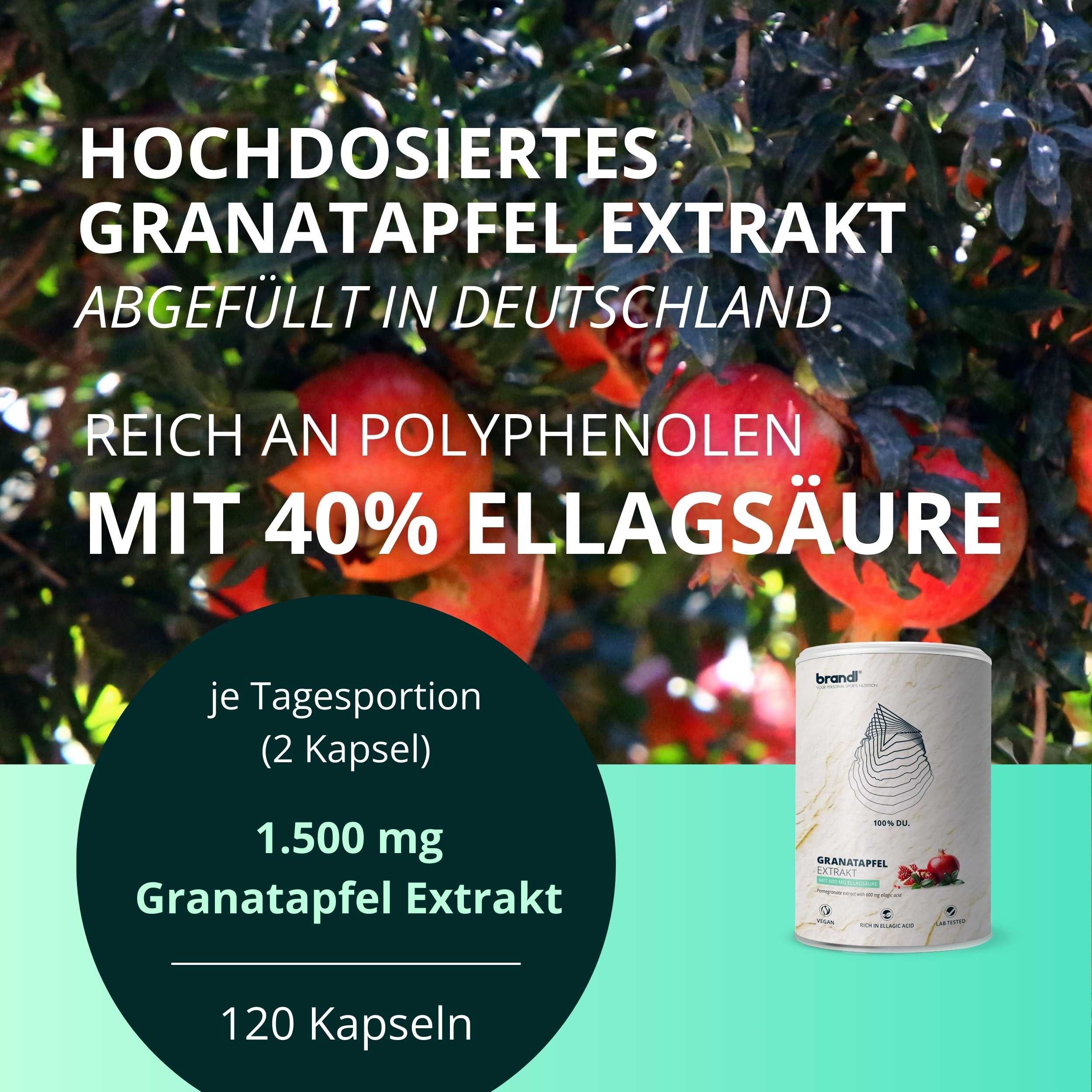 Dose brandl® Granatapfelkern Extrakt. Text: Hochdosiertes Granatapfelextrakt, reich an Polyphenolen, mit 40% Ellagsäure. 120 Kapseln.