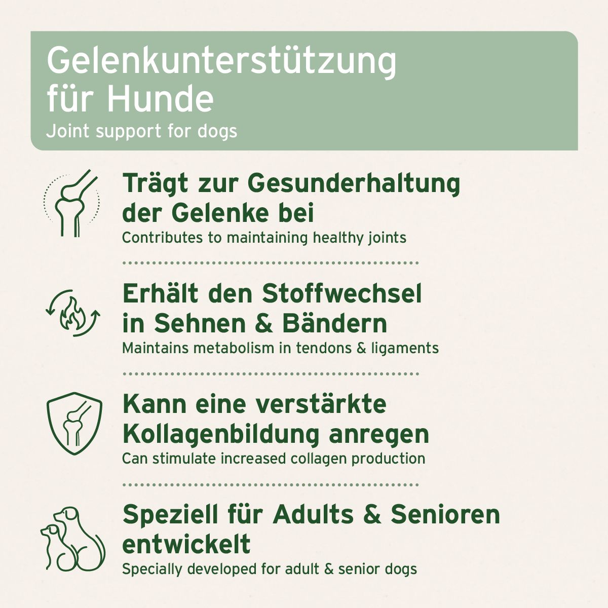 Text auf grünem Hintergrund. Text: Gelenkunterstützung für Hunde. Trägt zur Gesunderhaltung der Gelenke bei.