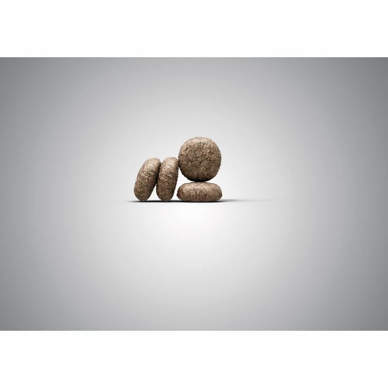 Hundefutter-Kroketten, braun, rund und oval, auf hellem Hintergrund. Einige liegen, andere stehen.