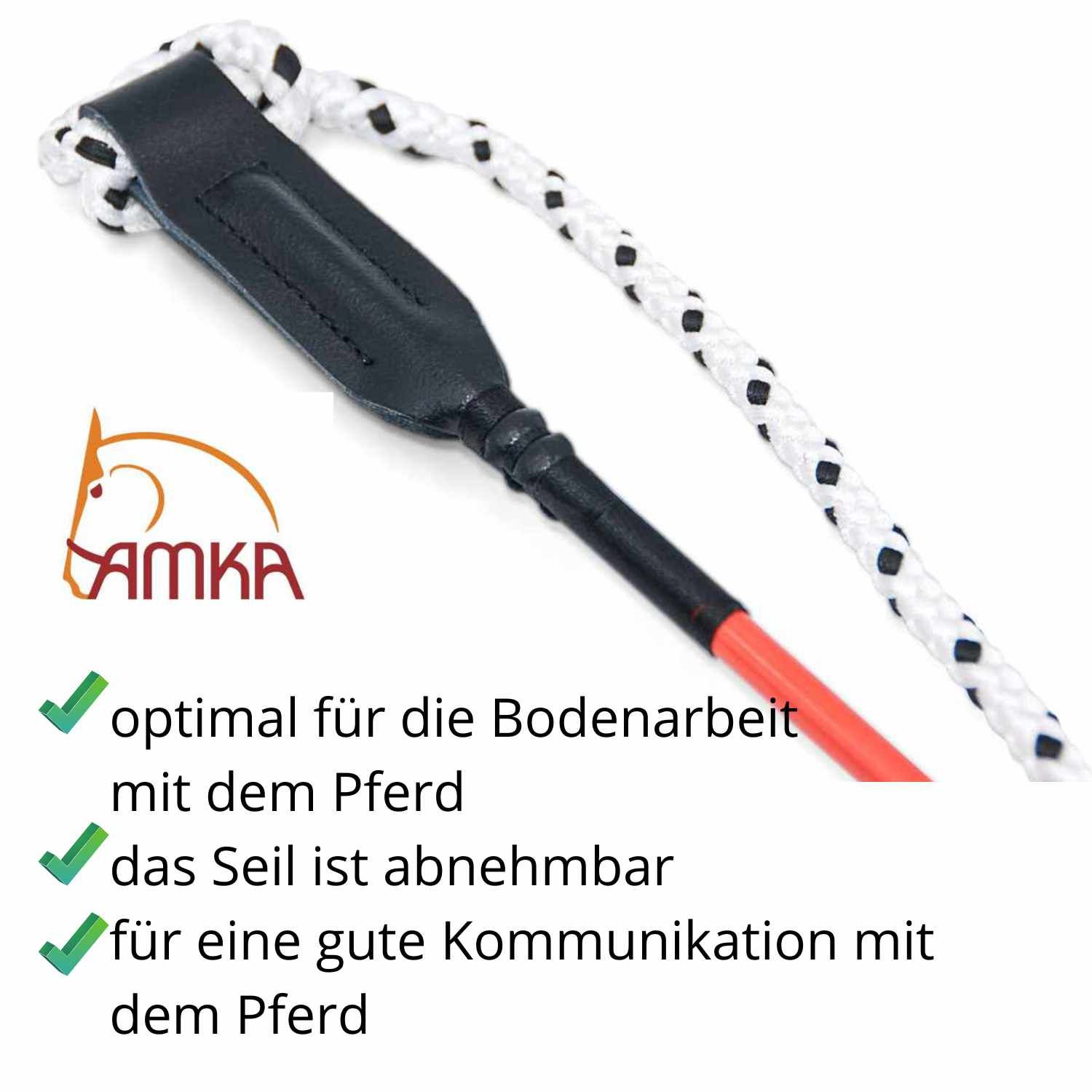 Reitstick mit Seil und Leder. Text: optimal für die Bodenarbeit mit dem Pferd, Seil abnehmbar.