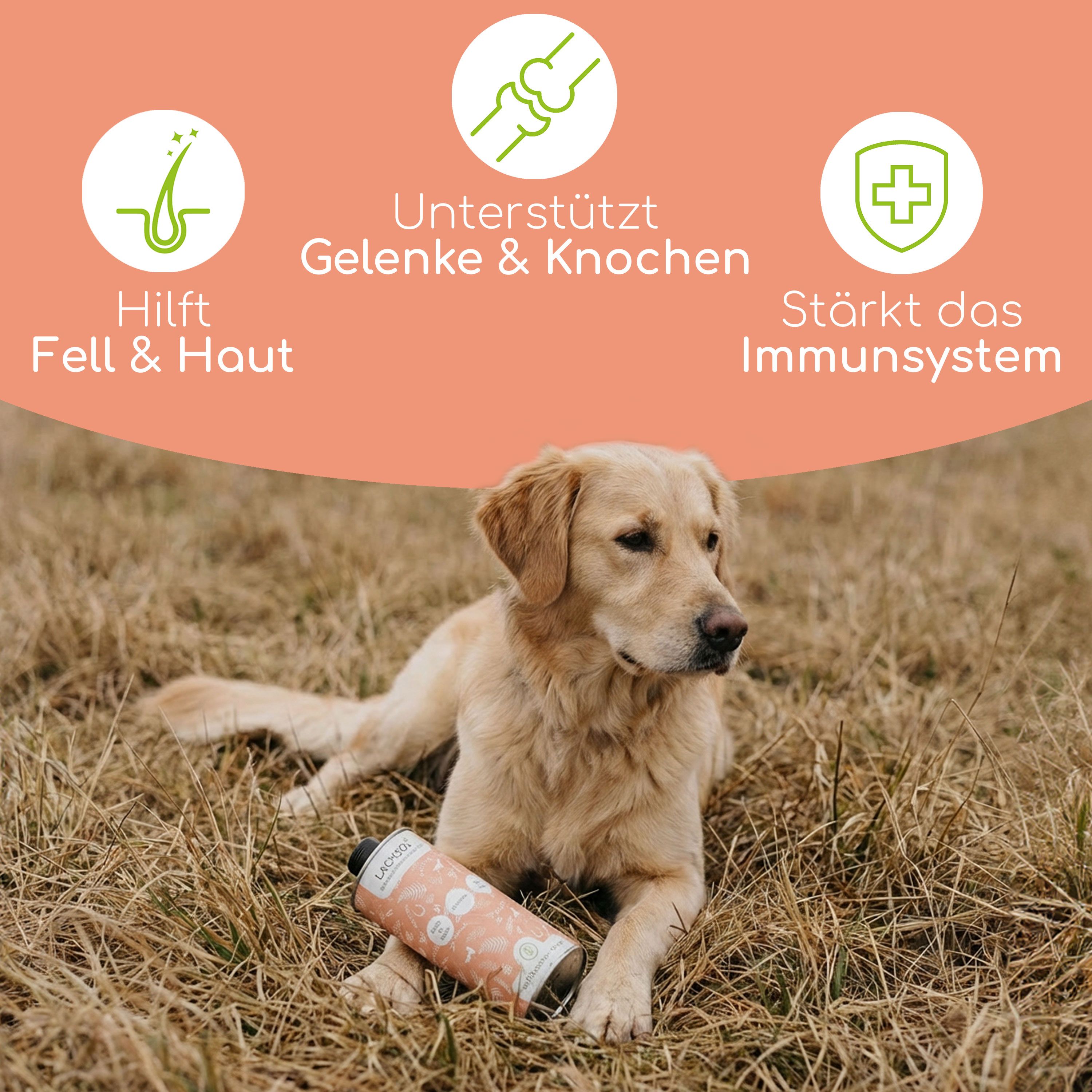 Wolfsbacher Natur Lachsöl PLUS Hund/Katze