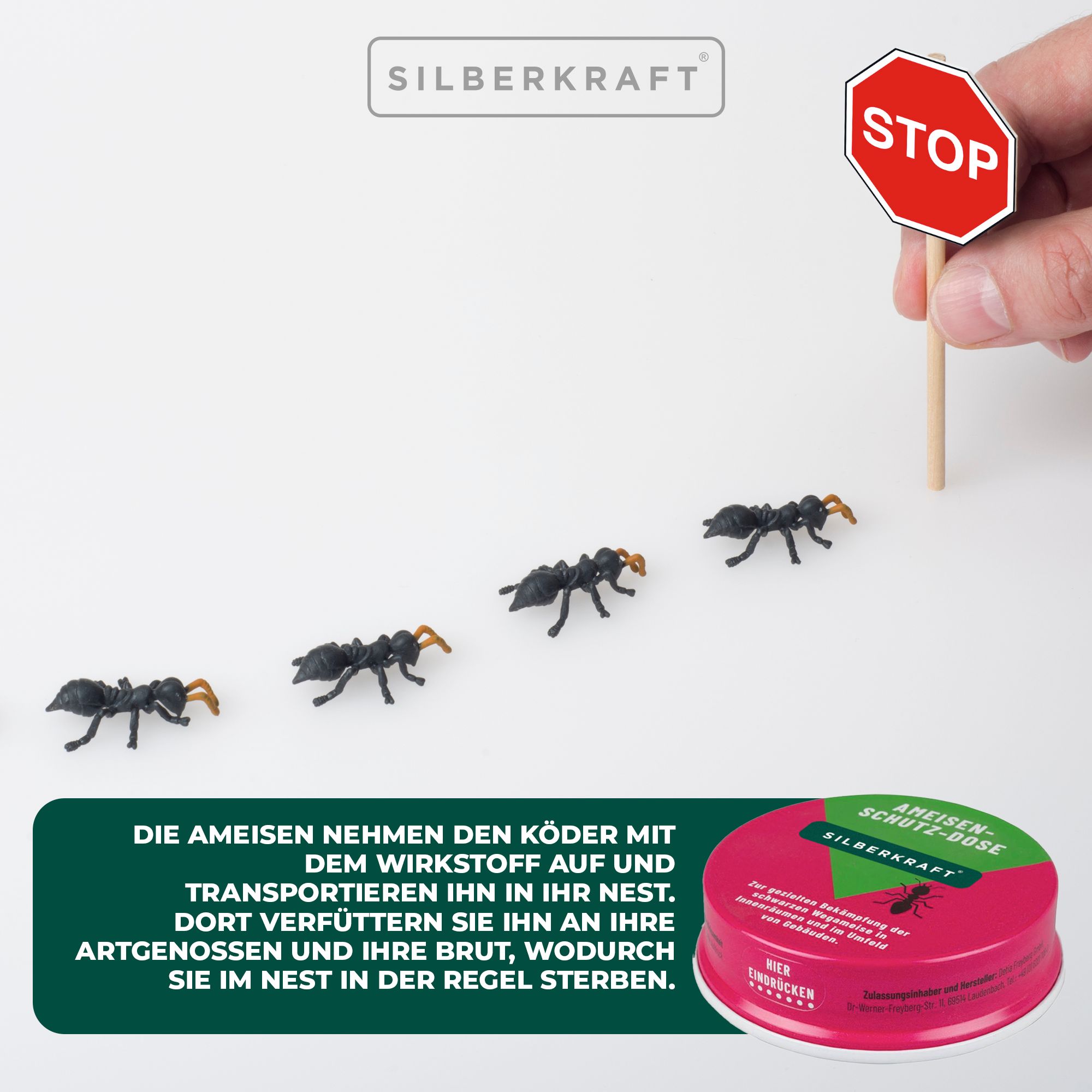 Miniatur-Ameisen auf weißem Hintergrund, die sich einer Köderdose nähern. Stoppschild. Produkt: Ameisen-Ex Köderdose. Marke: SILBERKRAFT. Text über die Wirkung.