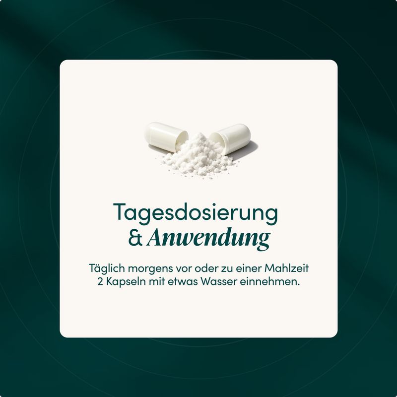 Geöffnete Kapsel mit Pulver daneben, "Tagesdosierung & Anwendung" steht darunter.