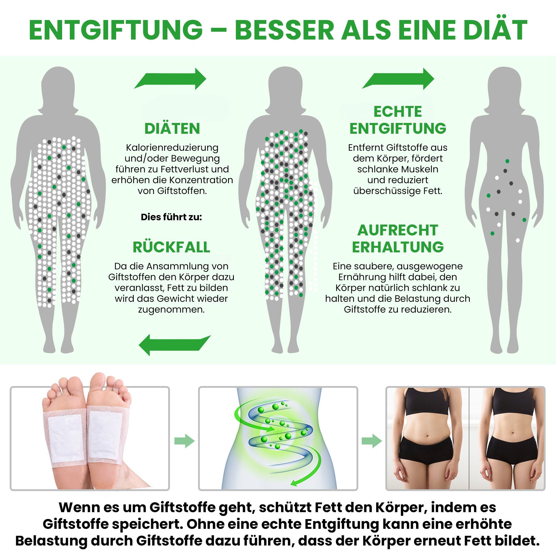 Schema zur Entgiftung: Diäten führen zu Fettverlust, echte Entgiftung reduziert Fett und Giftstoffe.