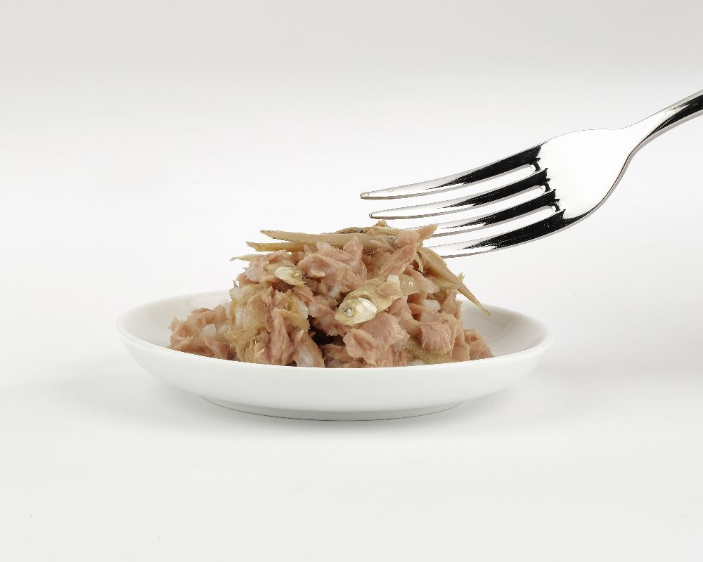 Portion Thunfischfilet mit Sardellen auf Teller, Gabel greift nach Futter. Weißer Hintergrund.